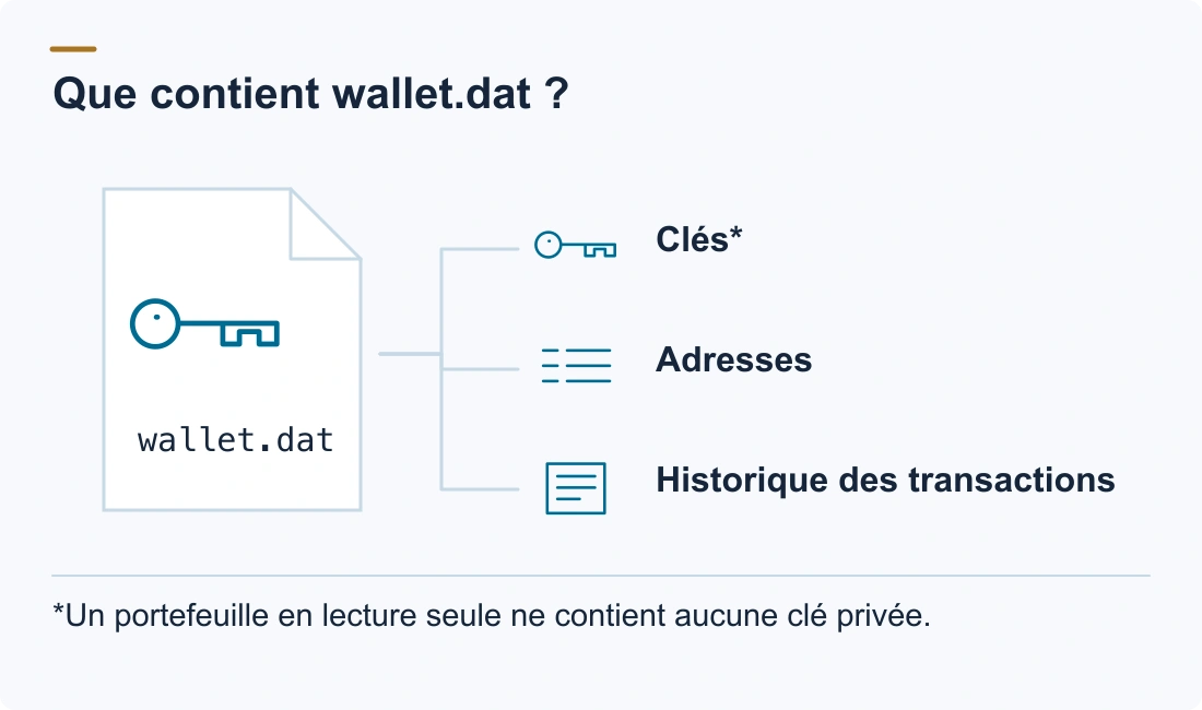Que contient wallet.dat ?: Clés*; Adresses; Historique des transactions. *Un portefeuille en lecture seule ne contient aucune clé privée.