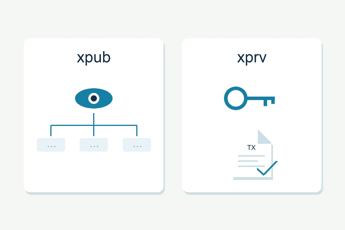 Deux panneaux xpub et xprv : un œil avec des branches d’adresses pour la consultation, et une clé privée avec une transaction signée